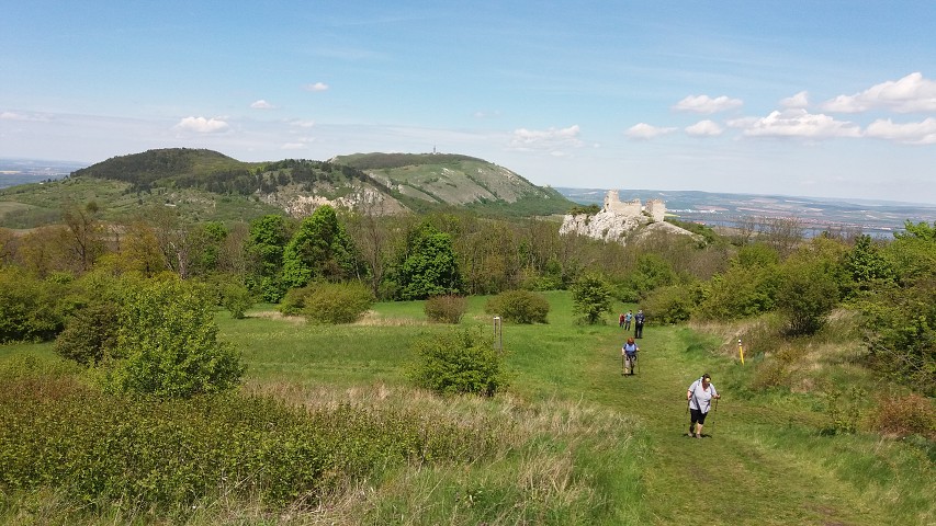 img00159.jpg