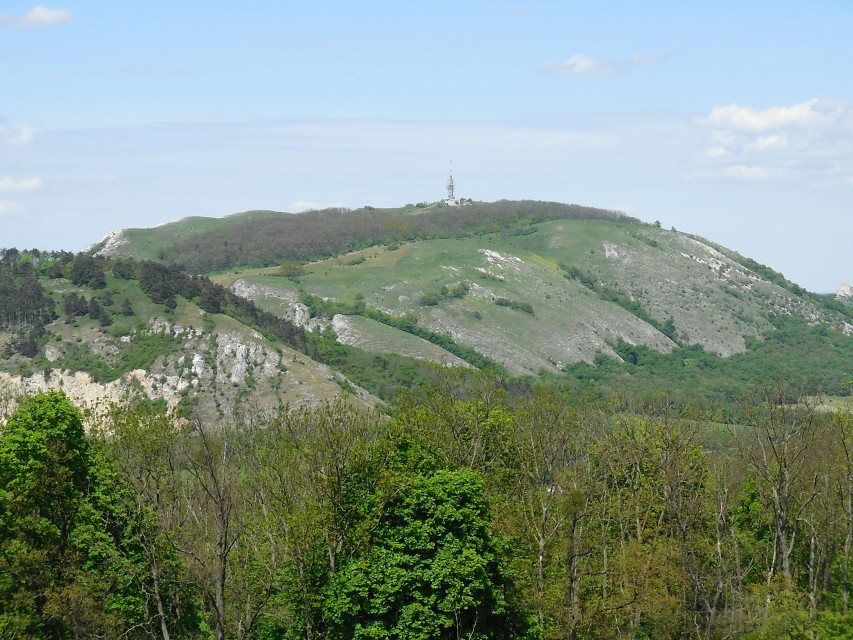 img00161.jpg