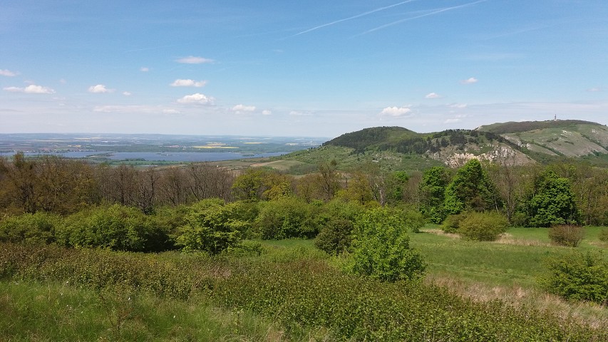 img00162.jpg