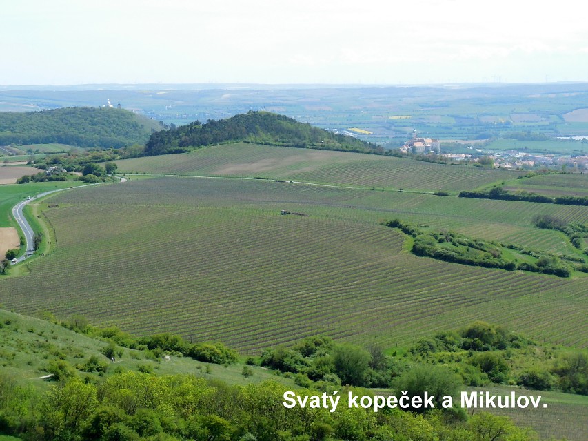img00166.jpg