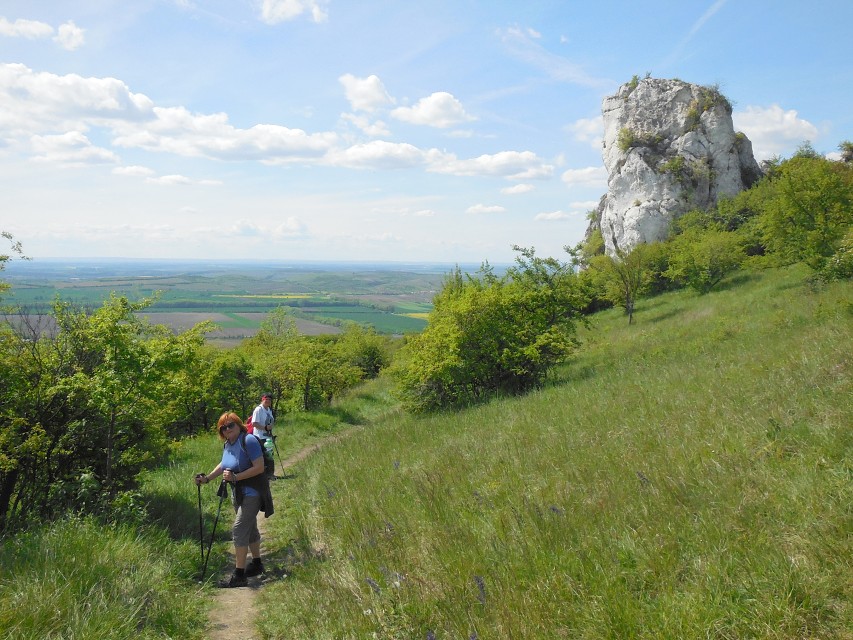 img00169.jpg