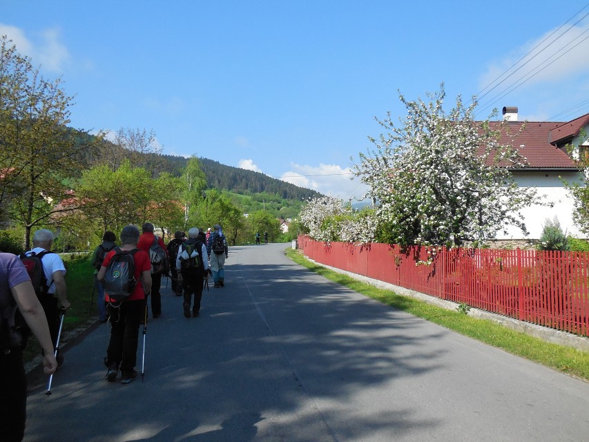 img00004.jpg