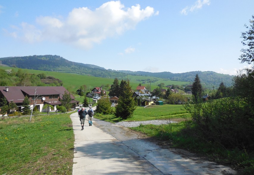img00005.jpg