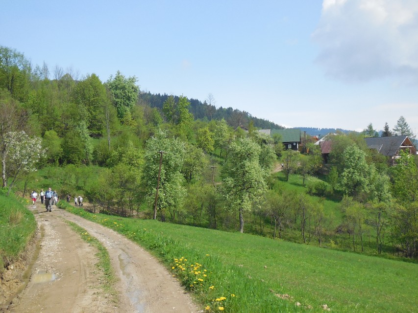 img00013.jpg