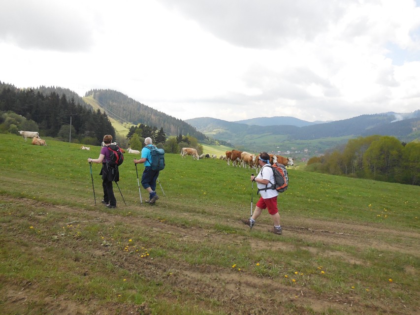 img00019.jpg