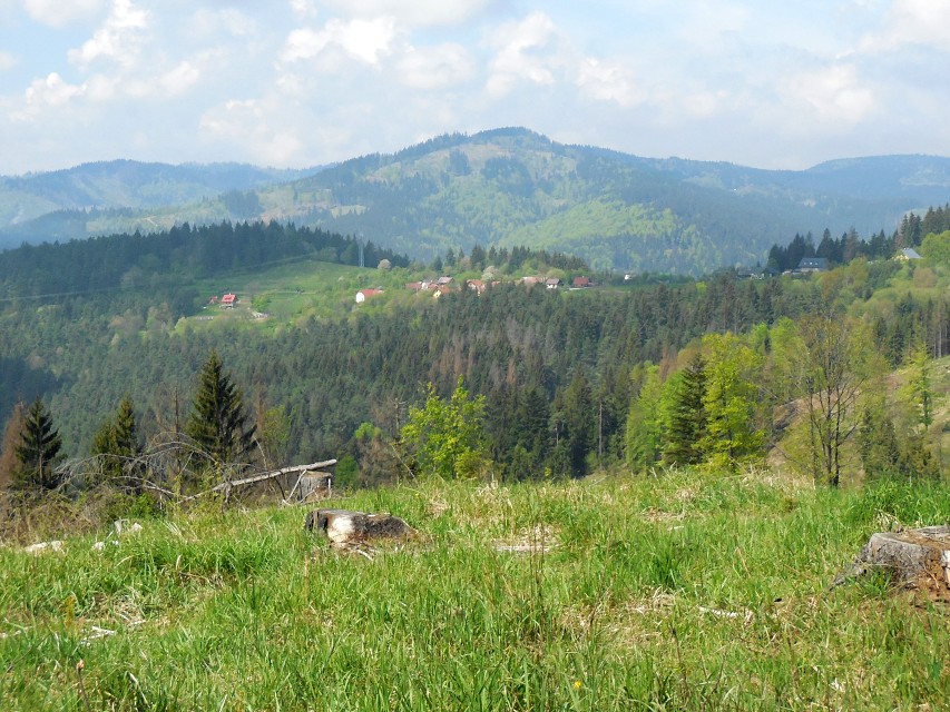 img00028.jpg