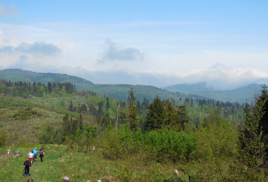 img00029.jpg