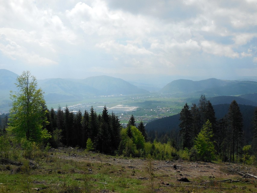 img00033.jpg
