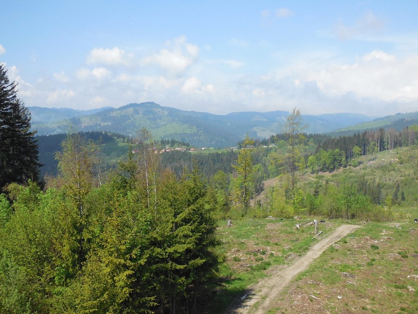 img00034.jpg