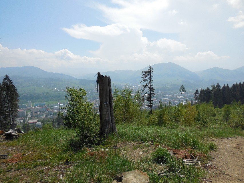 img00036.jpg