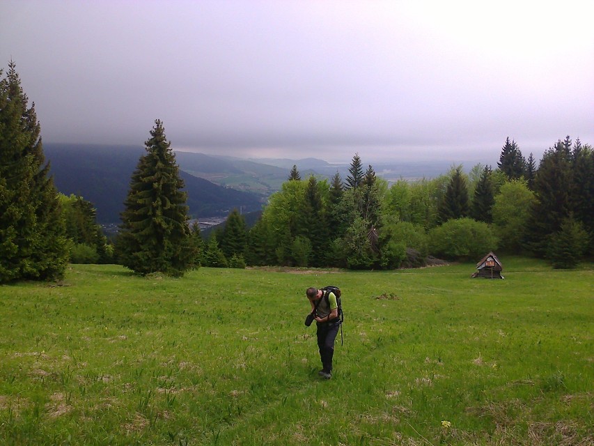 img00003.jpg