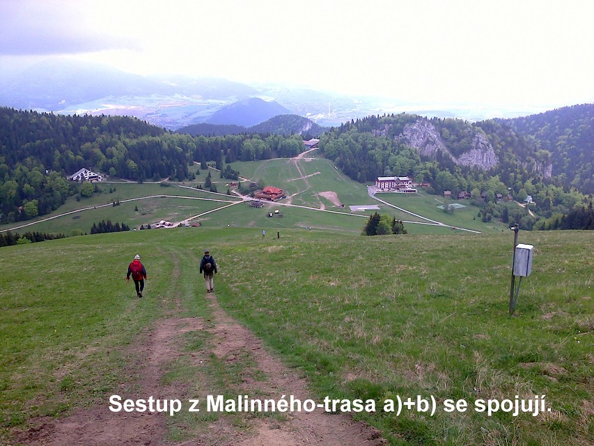 img00010.jpg