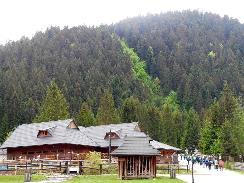 img00013.jpg