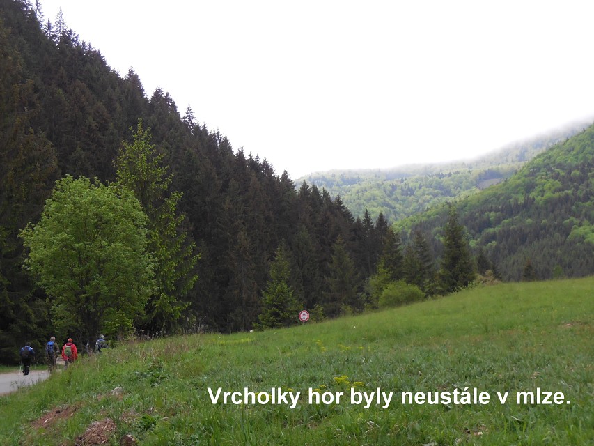 img00015.jpg