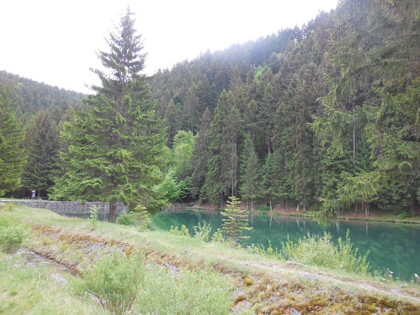 img00017.jpg