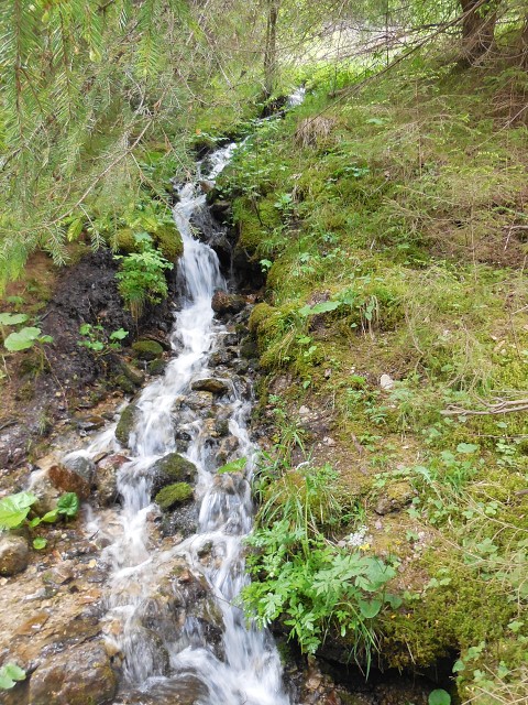 img00020.jpg