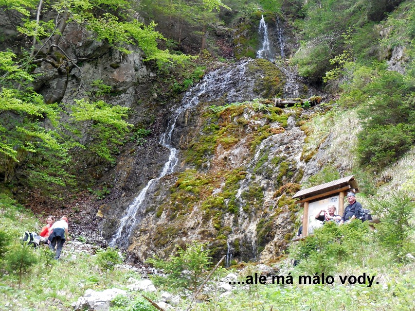 img00026.jpg