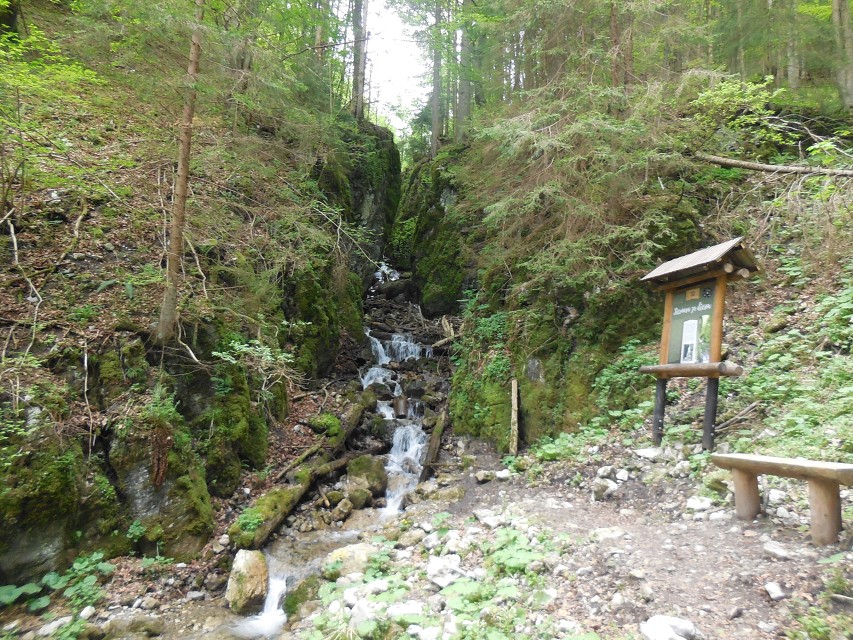 img00033.jpg