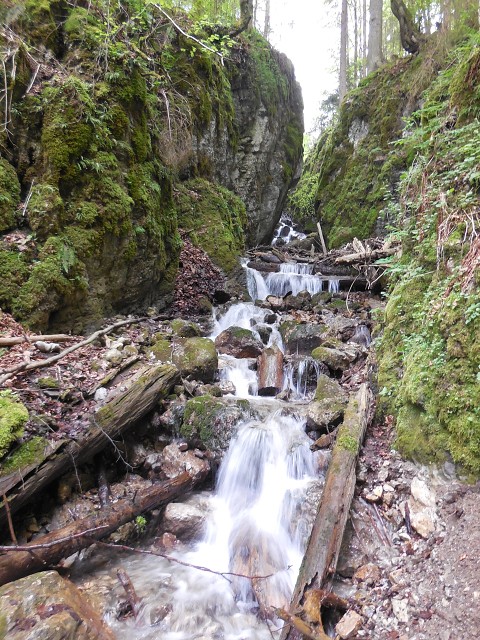img00034.jpg