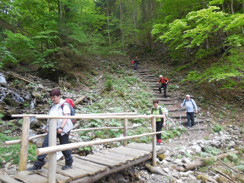 img00037.jpg
