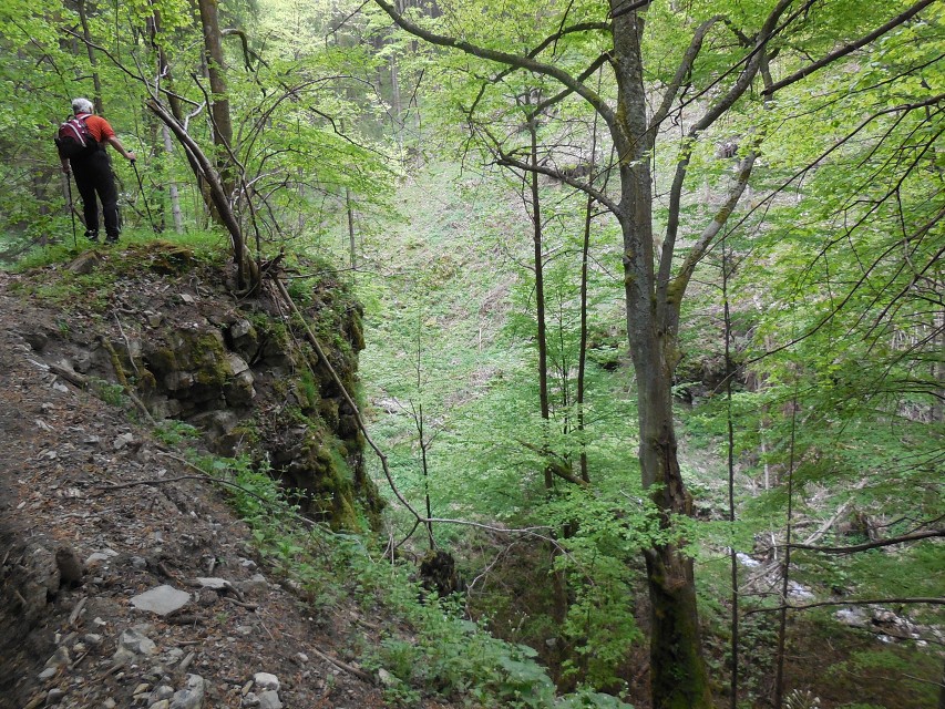 img00038.jpg