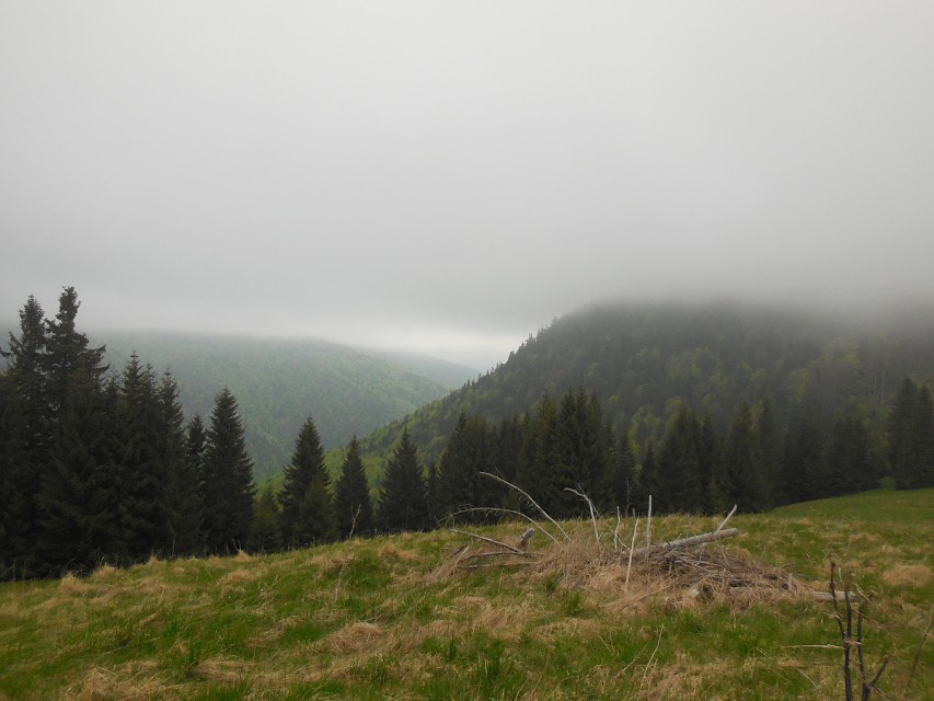 img00040.jpg