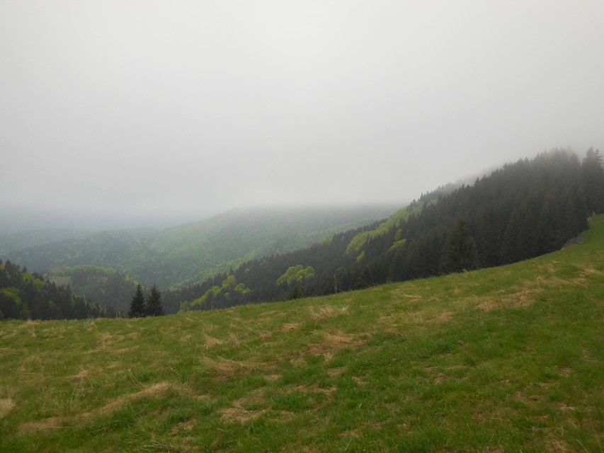 img00041.jpg
