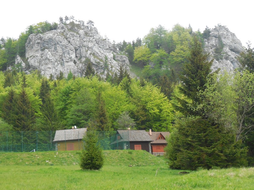 img00052.jpg