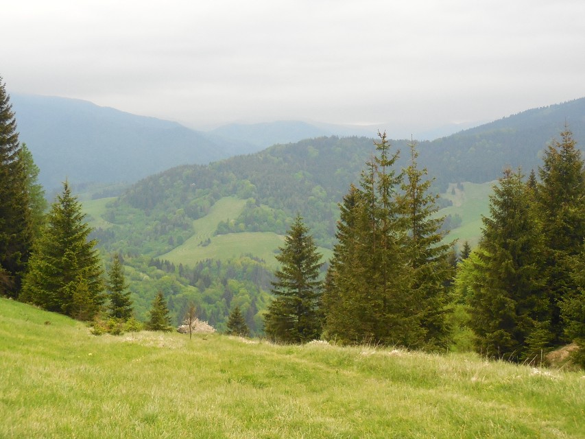 img00058.jpg