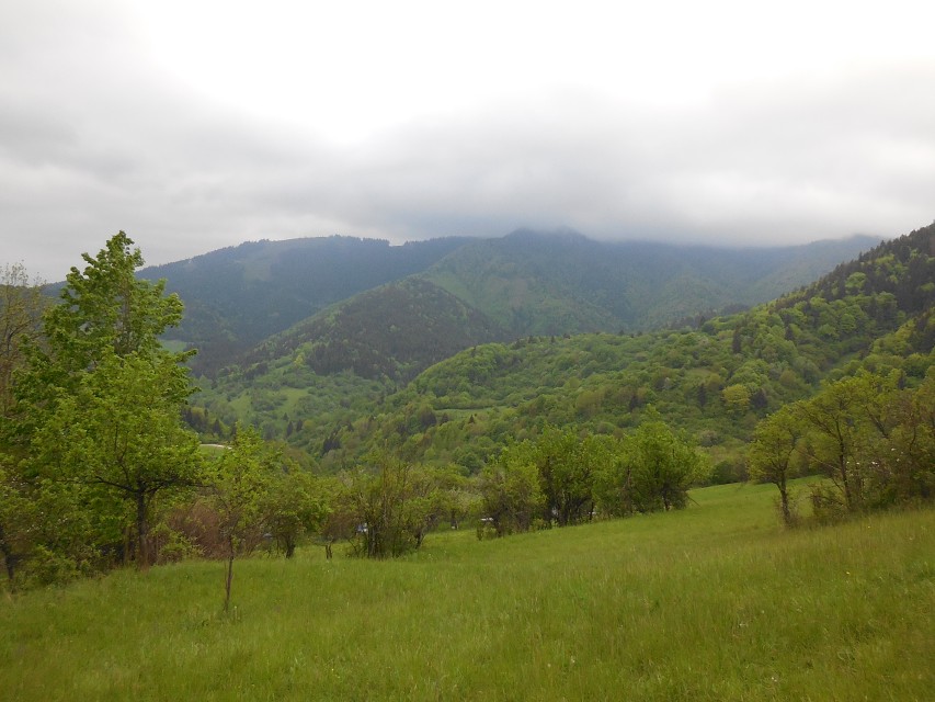 img00059.jpg