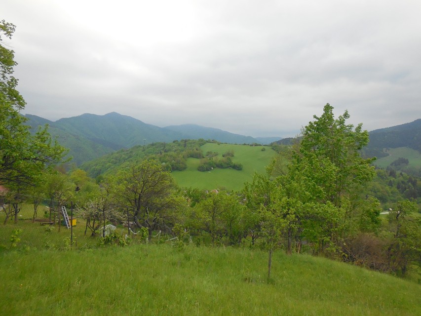 img00060.jpg