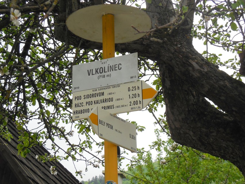 img00063.jpg