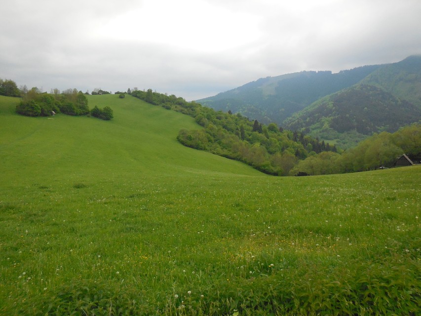 img00070.jpg