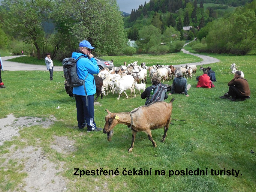 img00072.jpg
