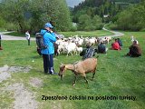 thn00072.jpg