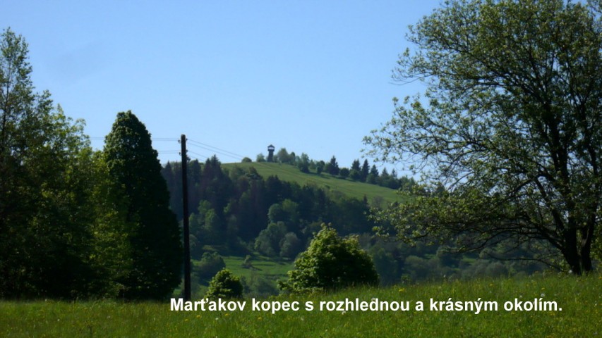 img00010.jpg