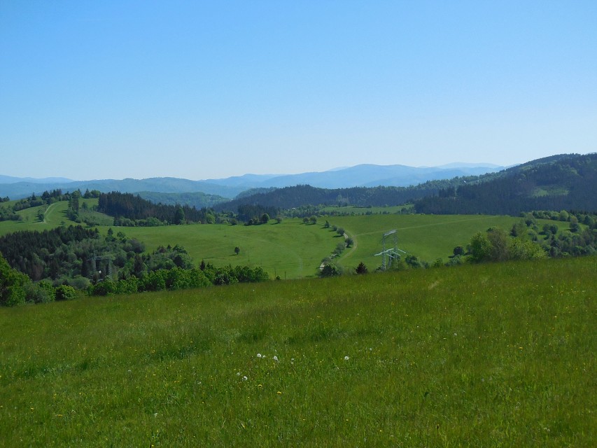 img00014.jpg