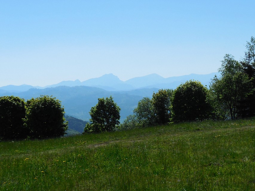 img00017.jpg