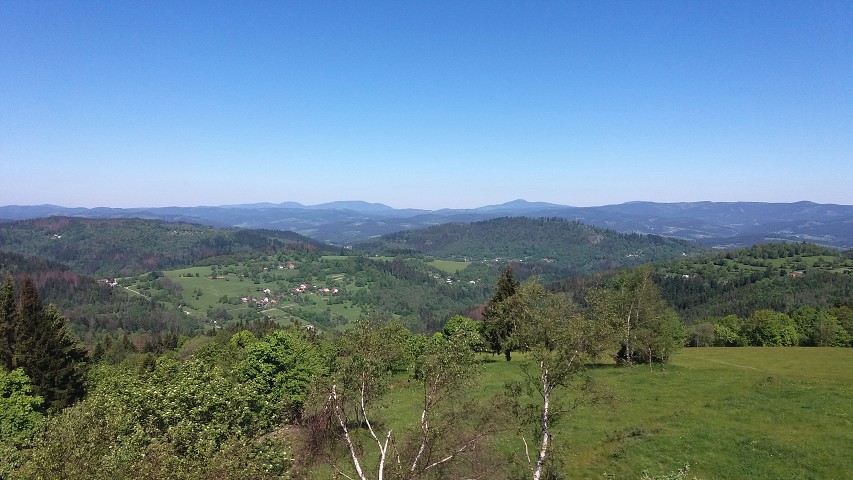 img00024.jpg