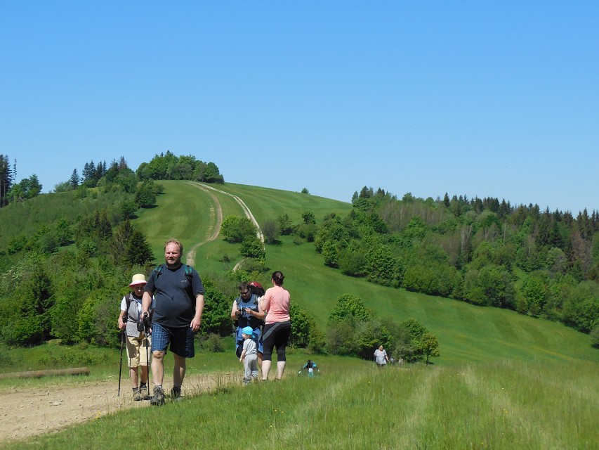 img00033.jpg