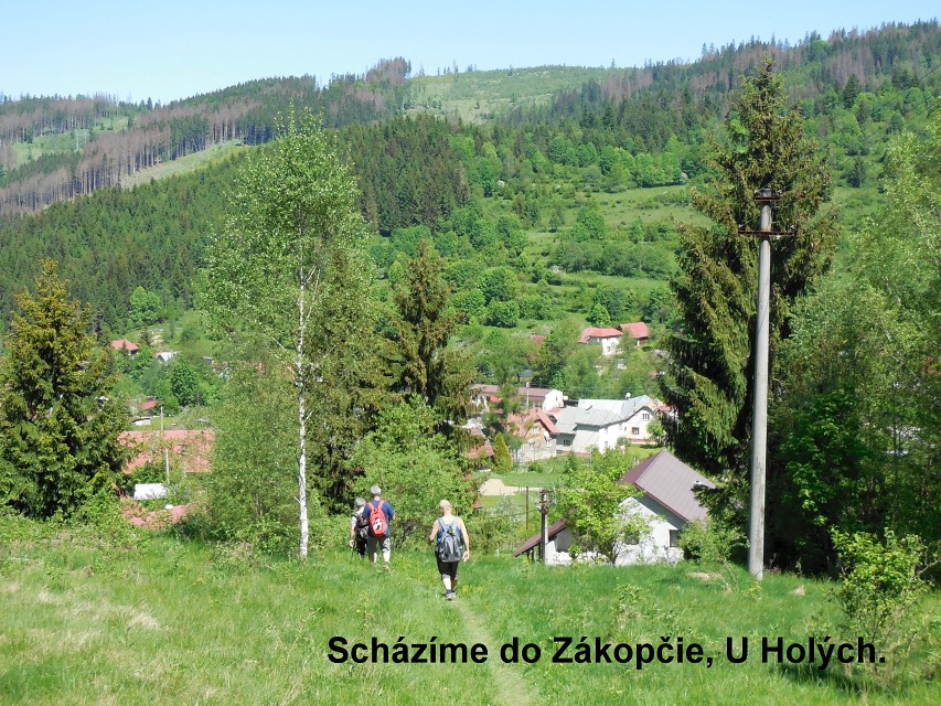 img00035.jpg