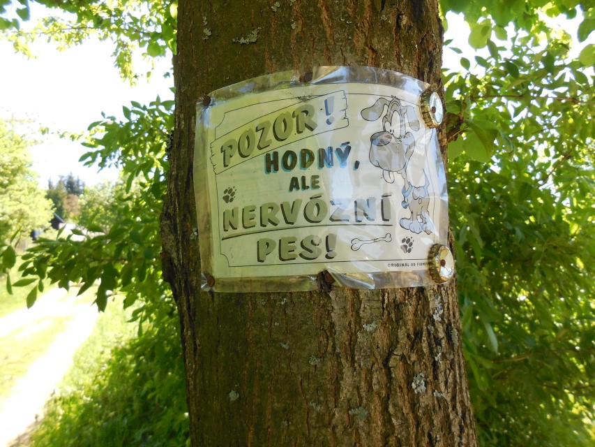 img00039.jpg