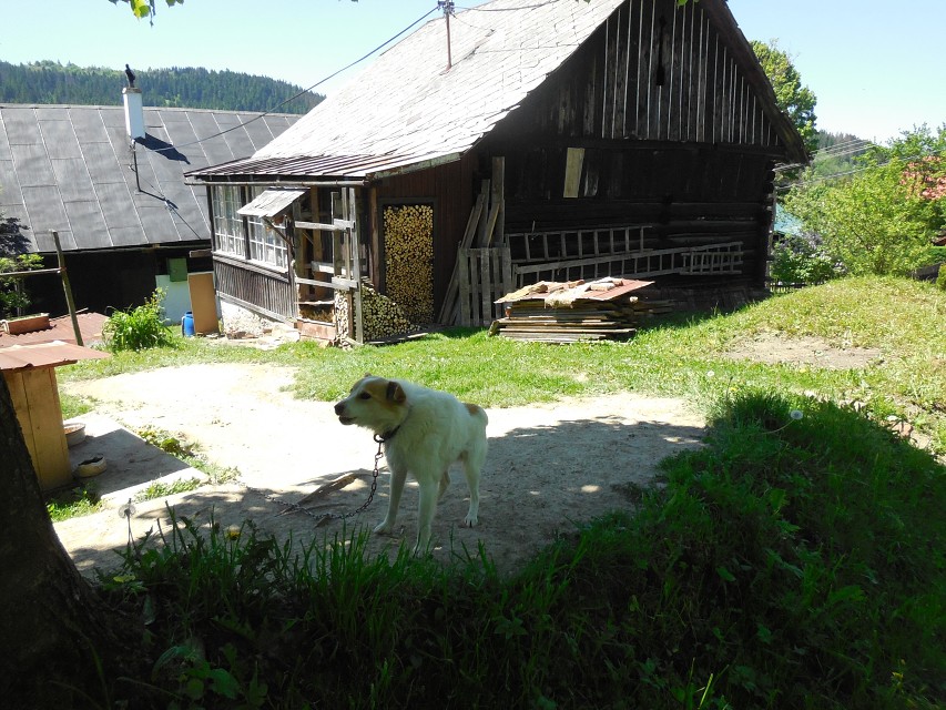 img00040.jpg