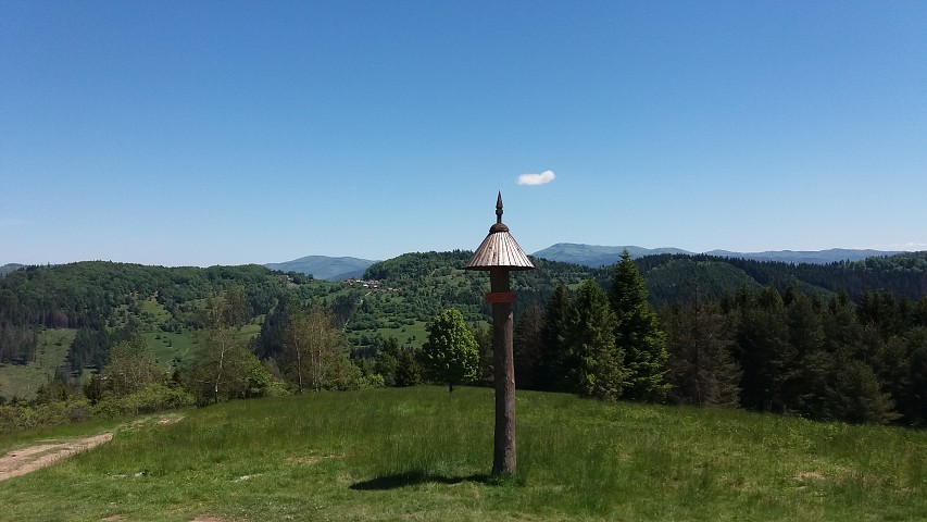 img00041.jpg