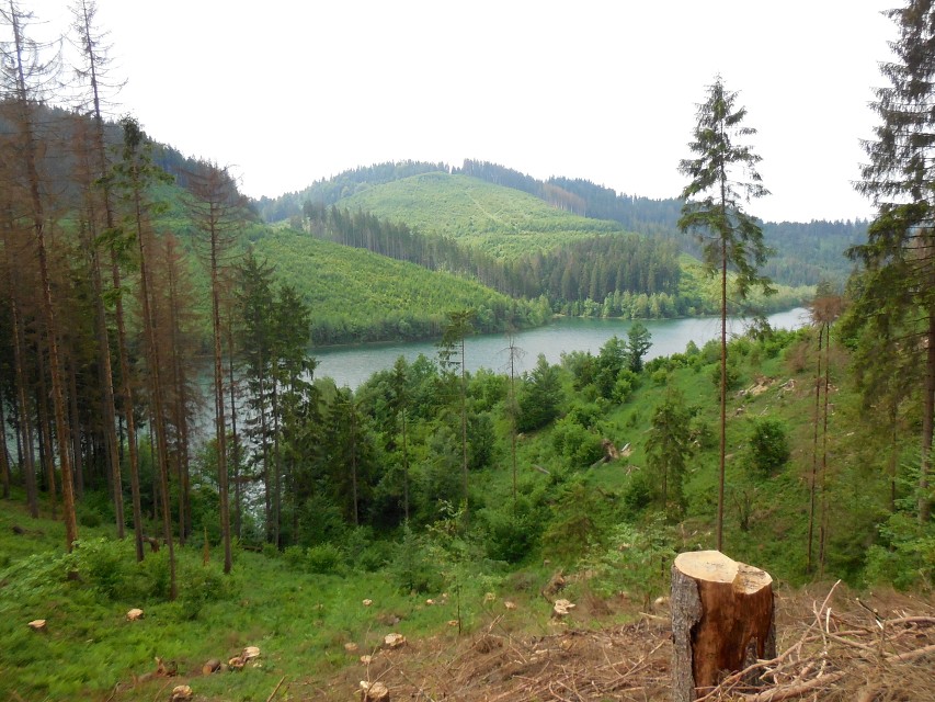 img00019.jpg