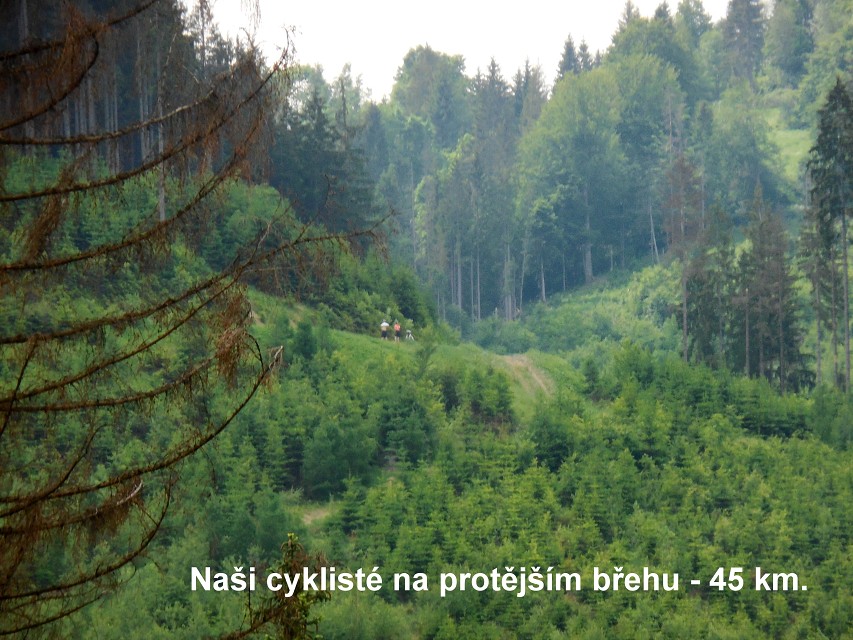 img00020.jpg