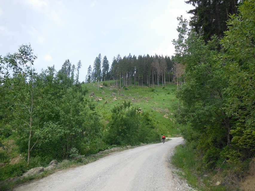 img00021.jpg