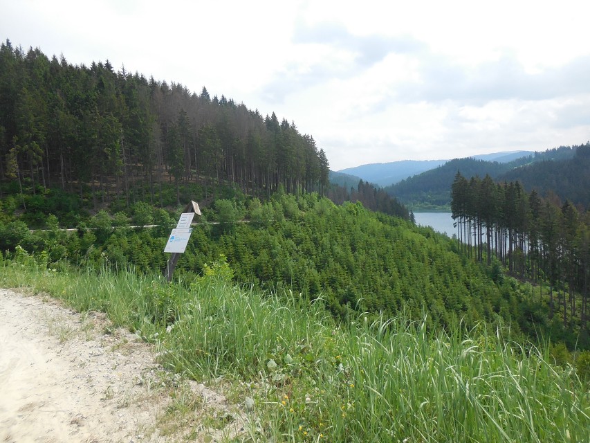 img00023.jpg