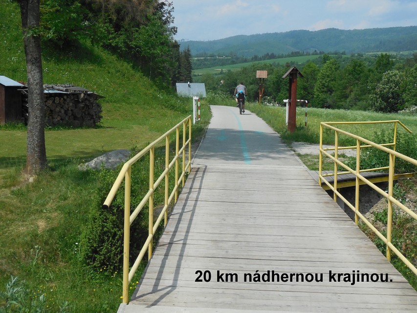 img00035.jpg