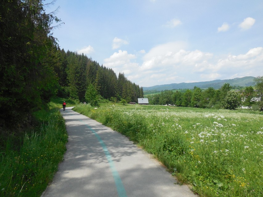img00036.jpg